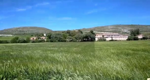 El trigo y el Monasterio