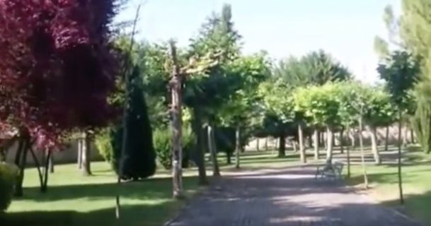 En la brisa